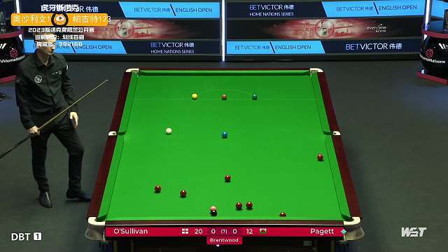 他们在许多 他们在许多